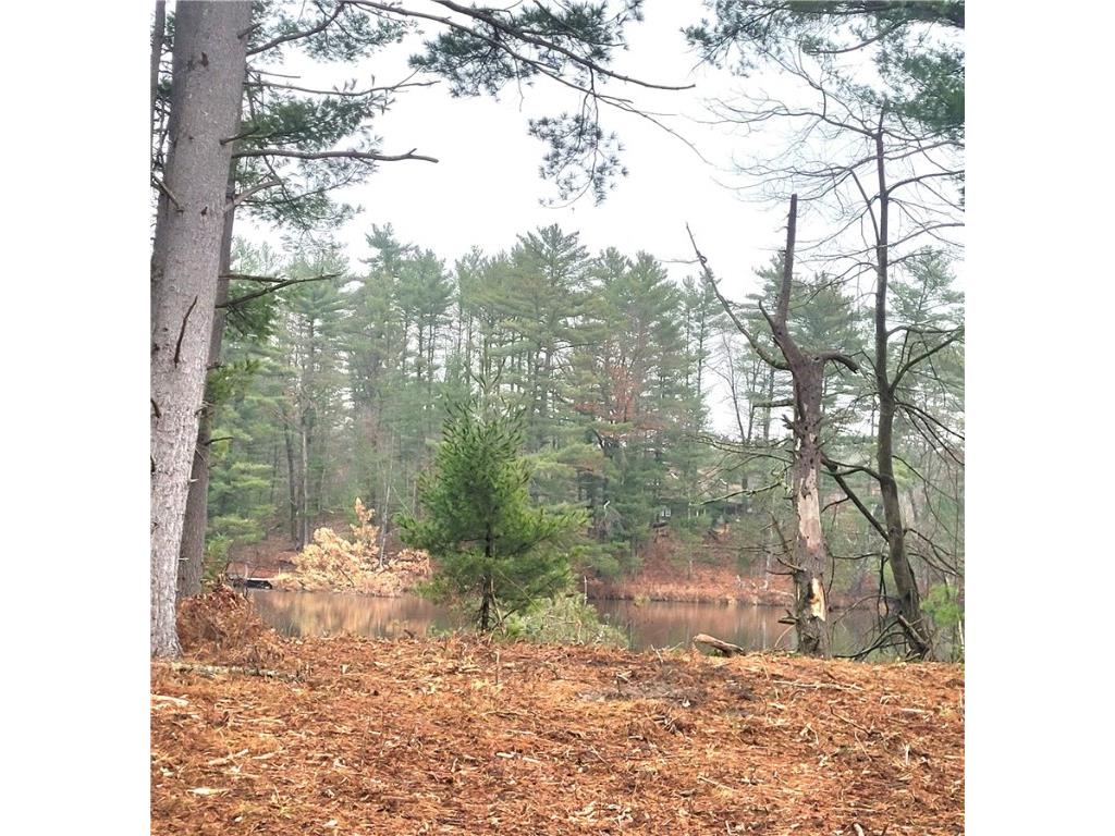 0 Lower Lake Dr Merrillan WI 54754 - Trow Lake 1597203 image47