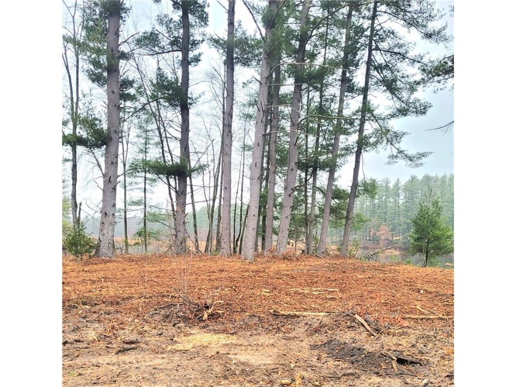 0 Lower Lake Dr Merrillan WI 54754 - Trow Lake 1597203 image48