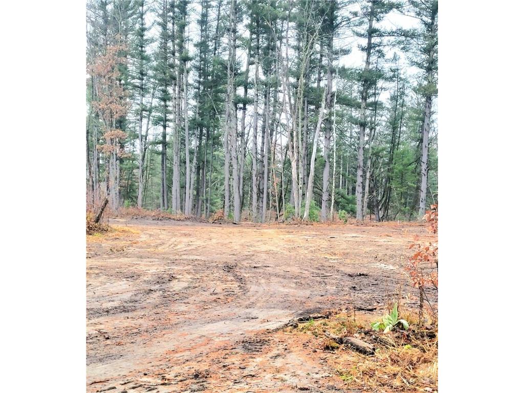 0 Lower Lake Dr Merrillan WI 54754 - Trow Lake 1597203 image49