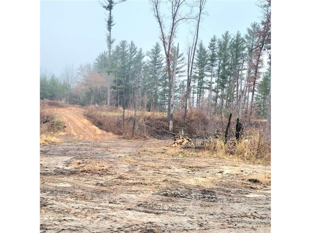 0 Lower Lake Dr Merrillan WI 54754 - Trow Lake 1597203 image50