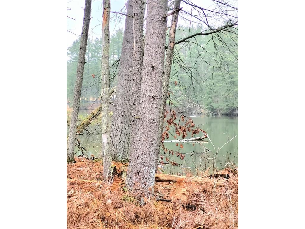 0 Lower Lake Dr Merrillan WI 54754 - Trow Lake 1597203 image52