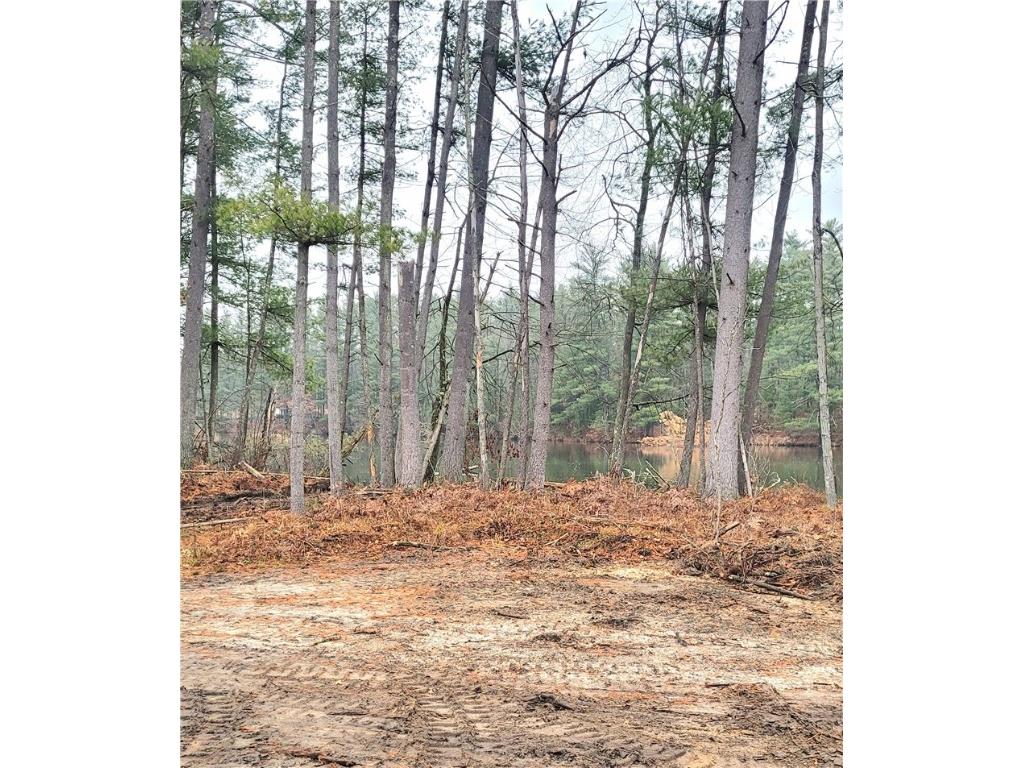 0 Lower Lake Dr Merrillan WI 54754 - Trow Lake 1597203 image53