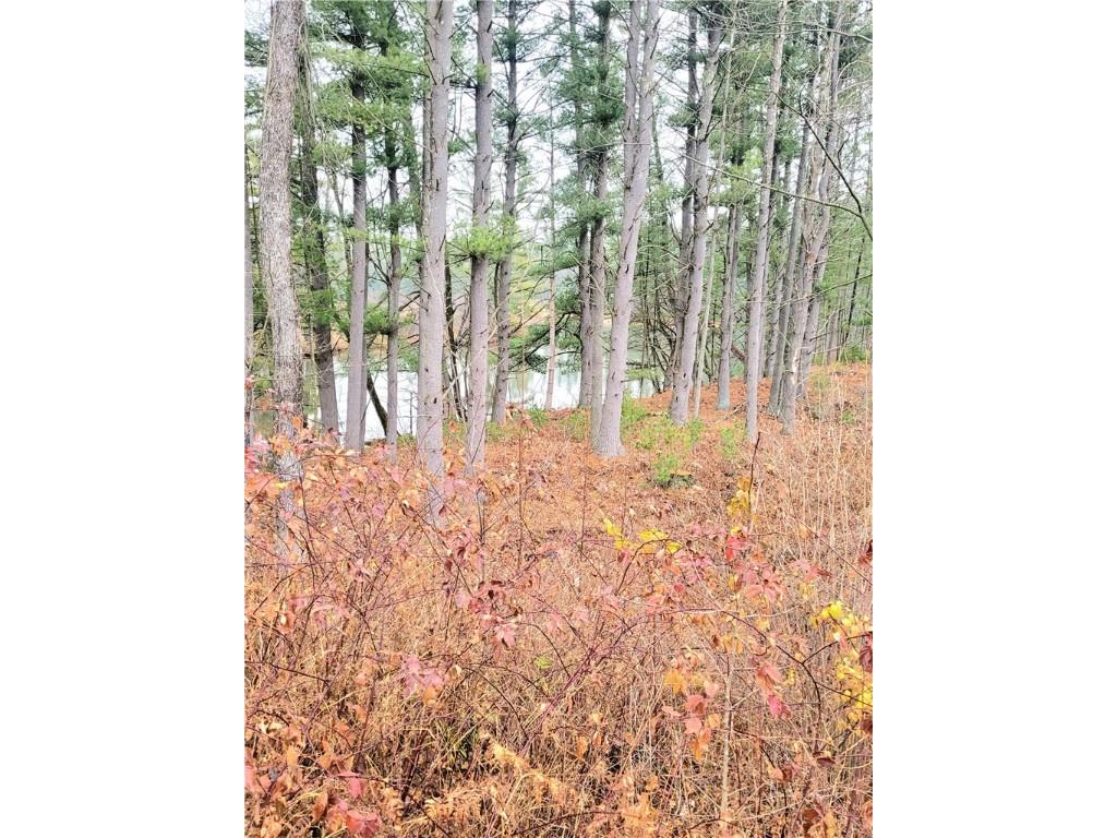 0 Lower Lake Dr Merrillan WI 54754 - Trow Lake 1597203 image56