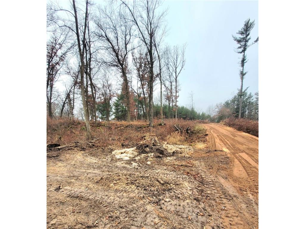 0 Lower Lake Dr Merrillan WI 54754 - Trow Lake 1597203 image58