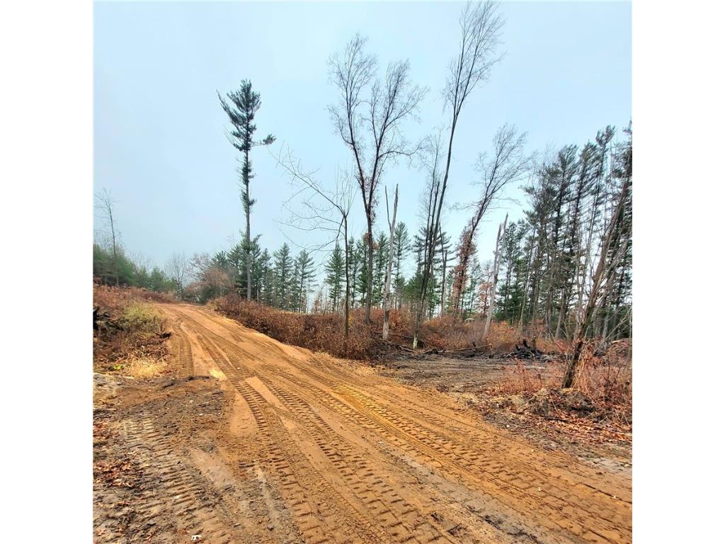 0 Lower Lake Dr Merrillan WI 54754 - Trow Lake 1597203 image59