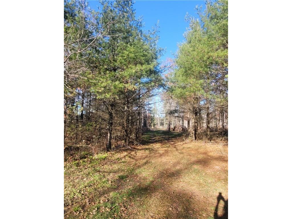 0 Lower Lake Dr Merrillan WI 54754 - Trow Lake 1597203 image6