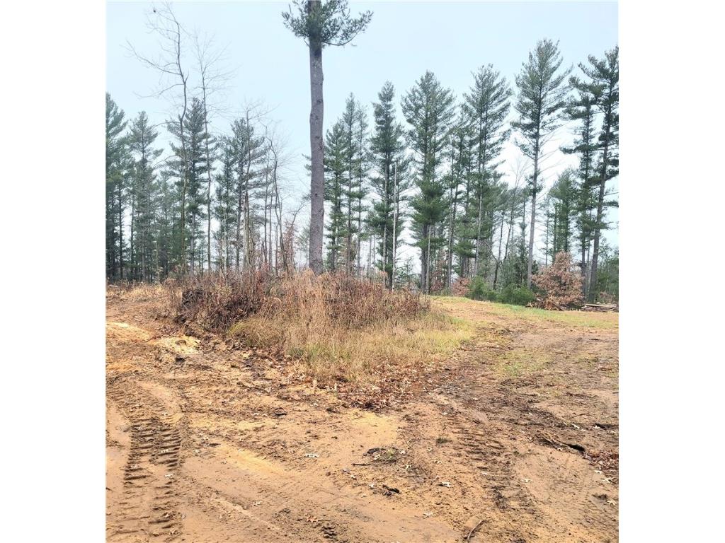 0 Lower Lake Dr Merrillan WI 54754 - Trow Lake 1597203 image60