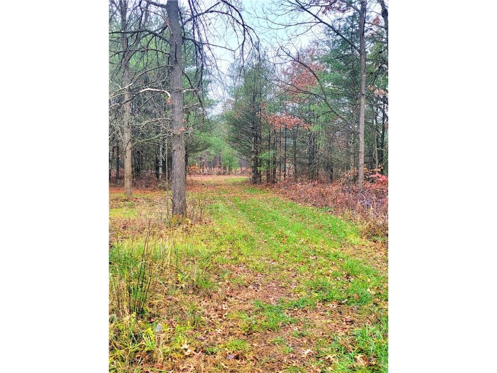 0 Lower Lake Dr Merrillan WI 54754 - Trow Lake 1597203 image8