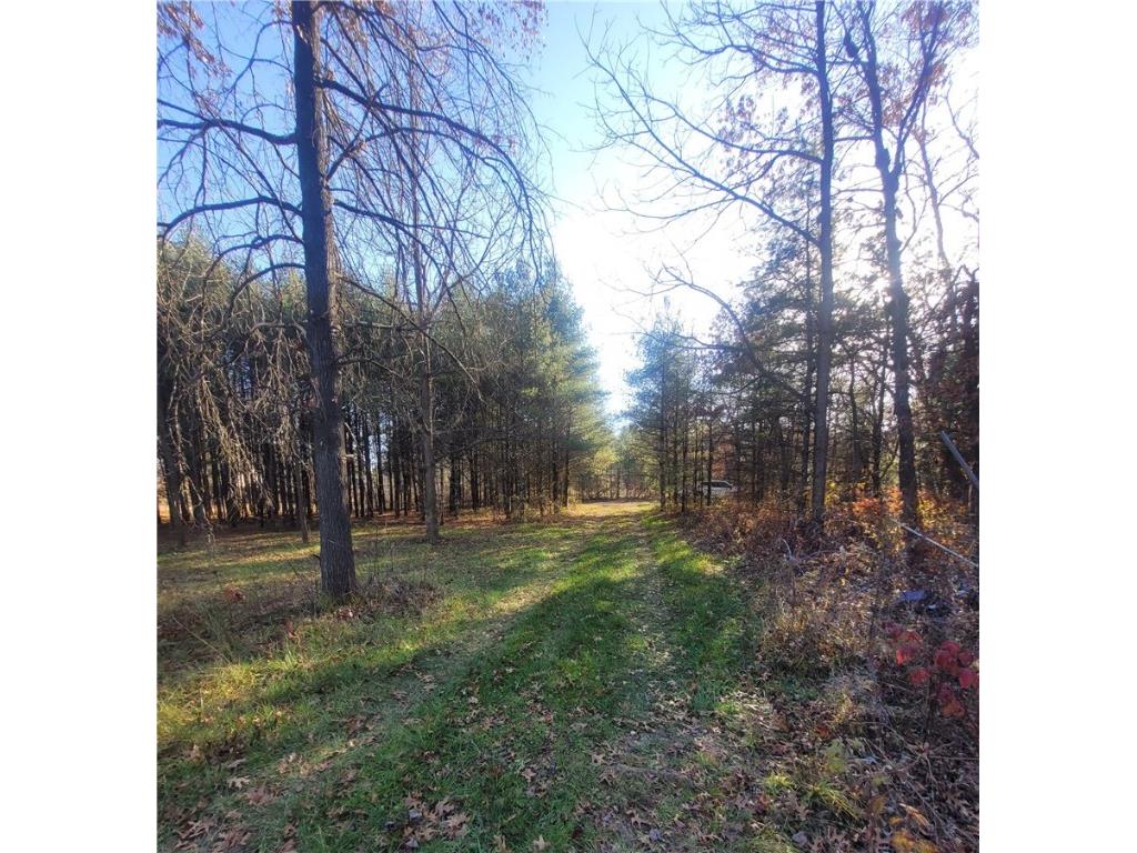 0 Lower Lake Dr Merrillan WI 54754 - Trow Lake 1597203 image9