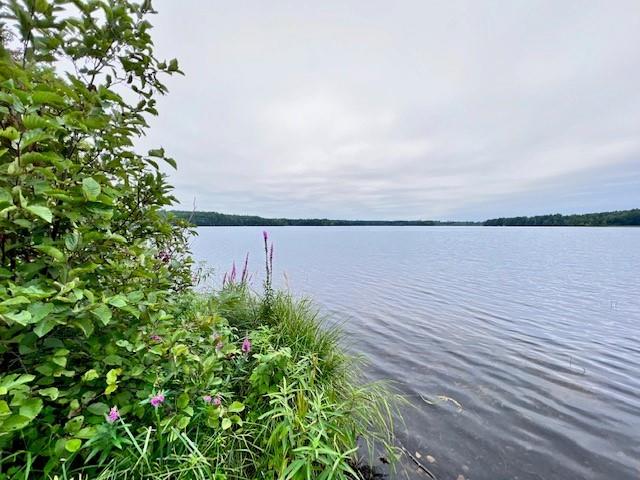 0 Lower Twin Lake Road Hayward WI 54843 - Tiger Cat 1576156 image1