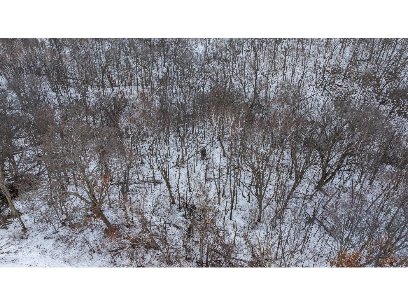 0 Maplewood Lane Alma WI 54610 1599311 image12