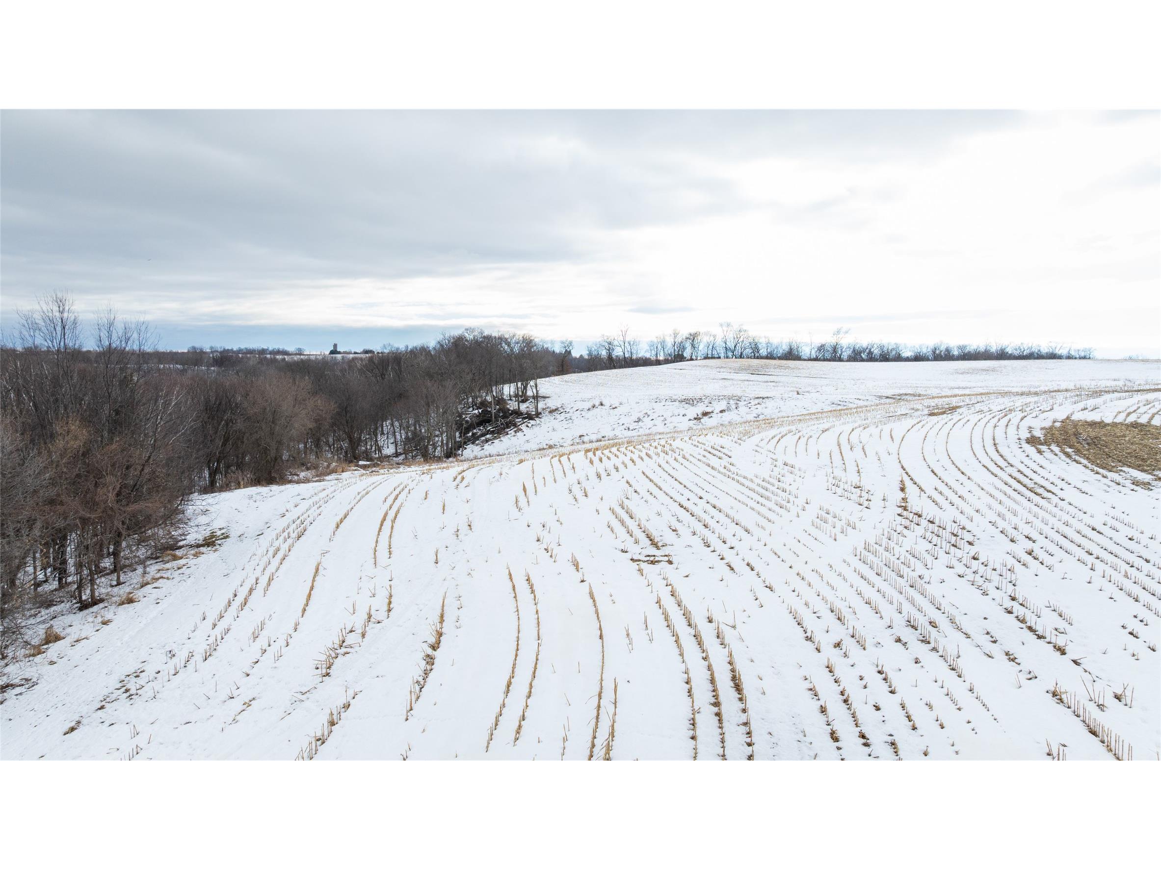 0 Maplewood Lane Alma WI 54610 1599311 image17