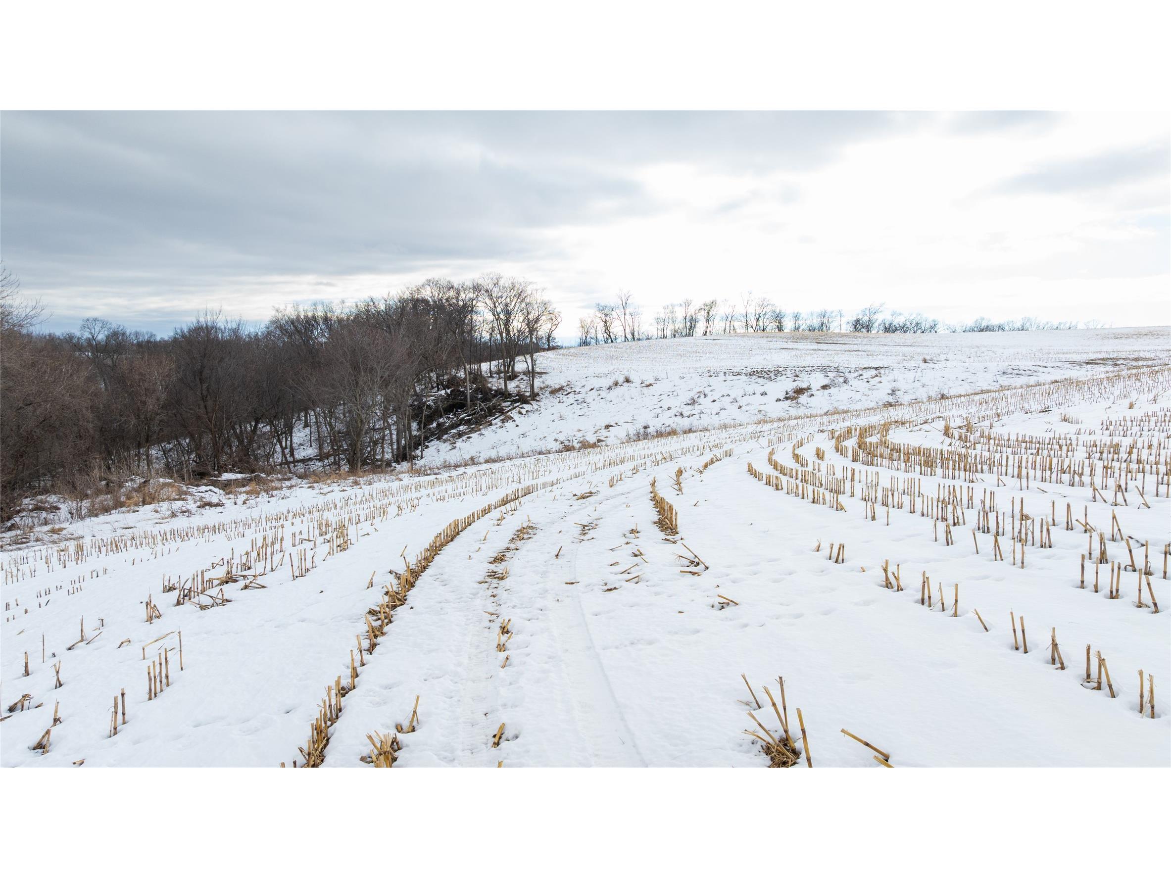 0 Maplewood Lane Alma WI 54610 1599311 image18