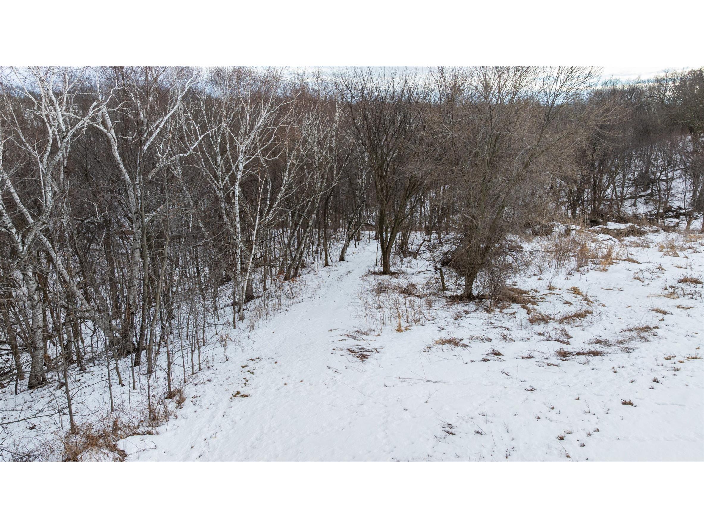 0 Maplewood Lane Alma WI 54610 1599311 image19