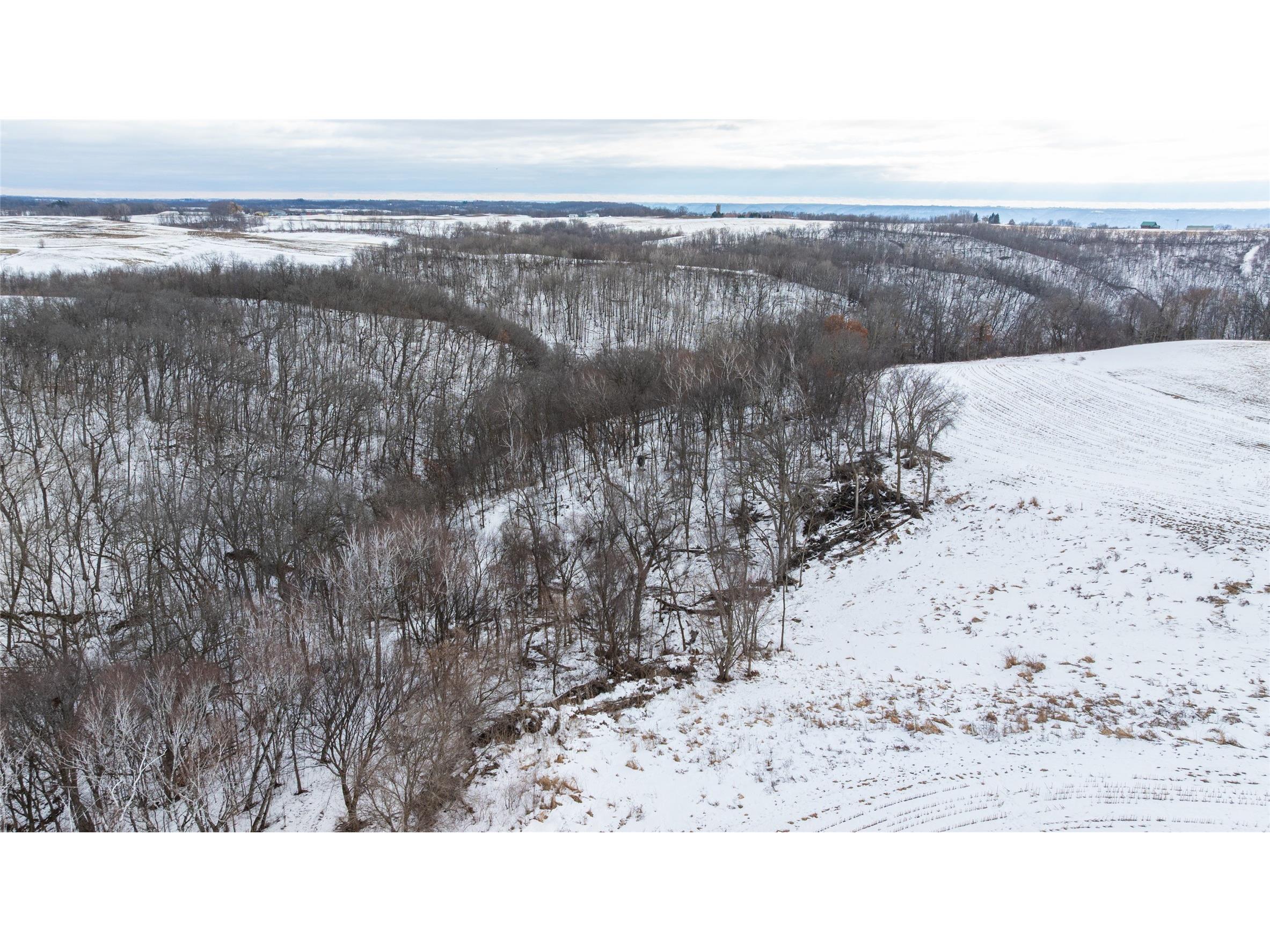 0 Maplewood Lane Alma WI 54610 1599311 image20