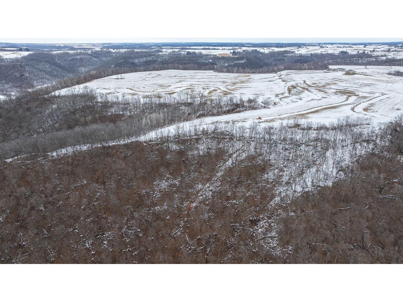 0 Maplewood Lane Alma WI 54610 1599311 image6