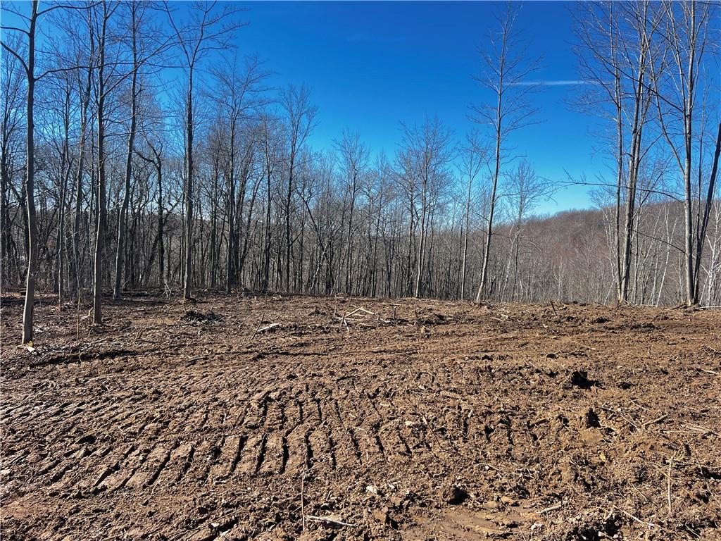0 Markgraff Road Fall Creek WI 54742 1580105 image1