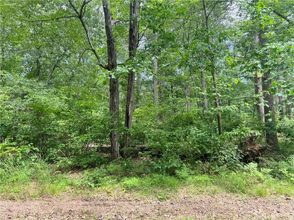 0 Moen Road Barnes WI 54873 1583575 image1