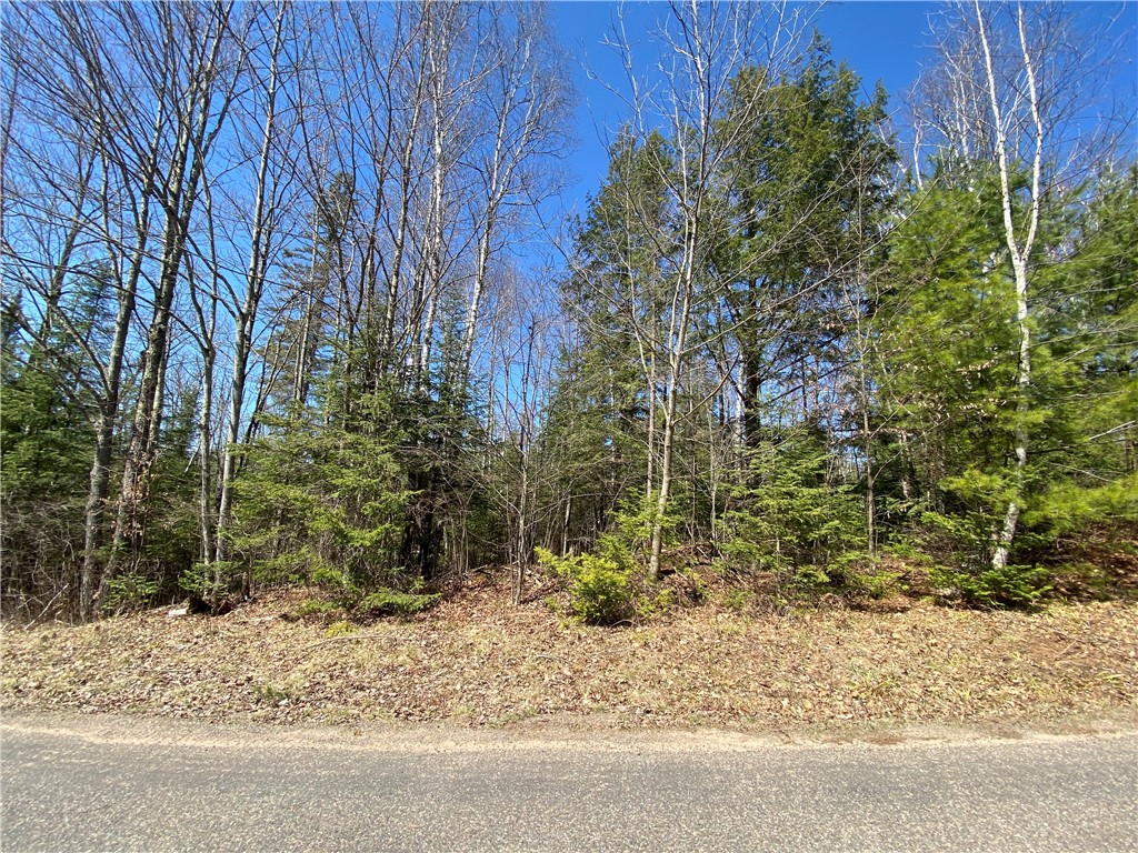 0 N Clover Road/Blaisdell Ct Draper WI 54896 - East Fork Chippewa River 1591709 image2