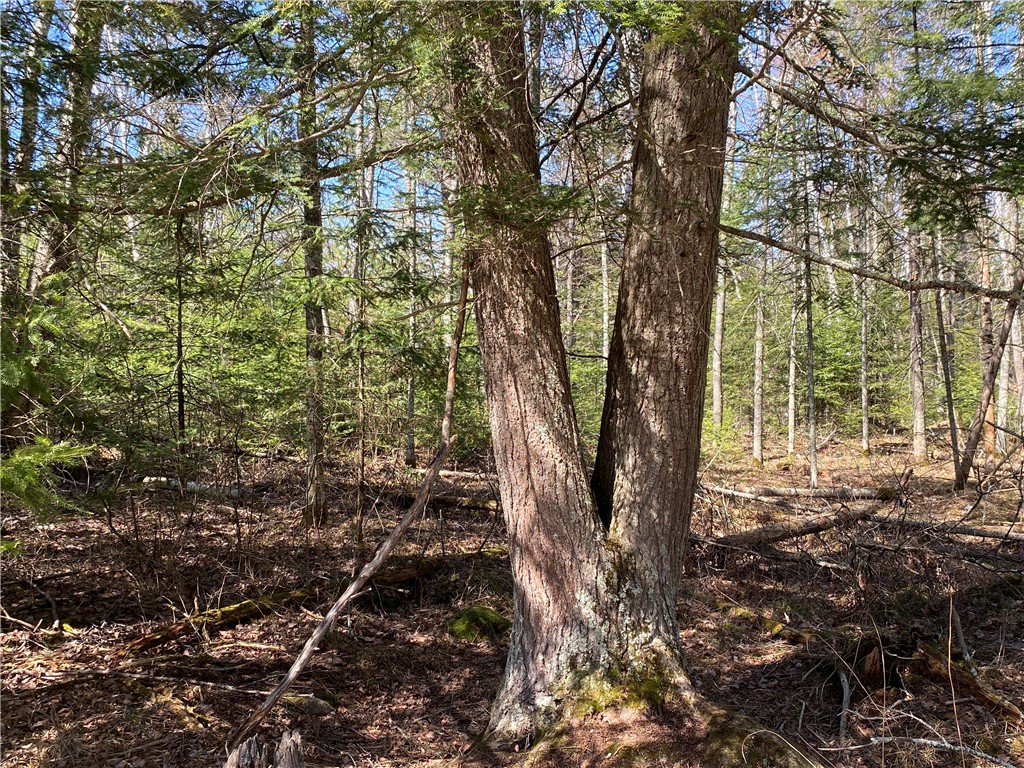 0 N Clover Road/Blaisdell Ct Draper WI 54896 - East Fork Chippewa River 1591709 image4