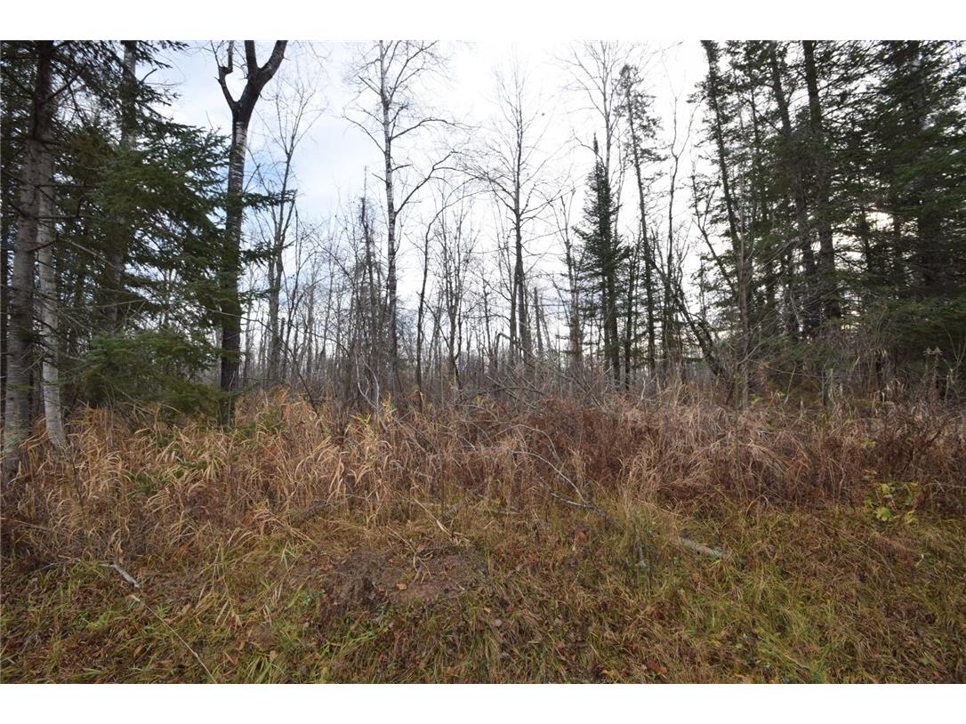 0 N Fire Lane Road Danbury WI 54830 1587203 image1