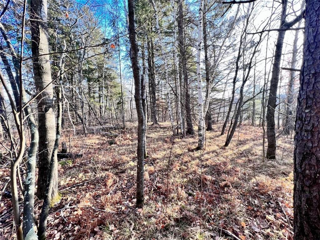 0 N Klinger Road Exeland WI 54835 1580022 image1