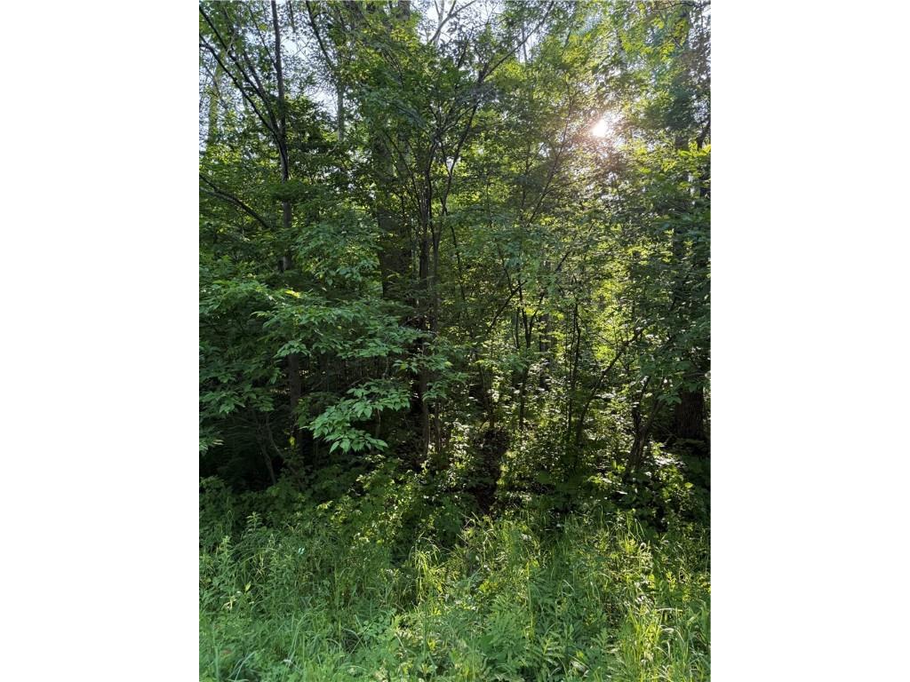 0 N Mack Lake Road Trego WI 54888 1593374 image1
