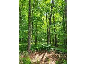0 N Olson Road Hayward WI 54843 1599573 image1