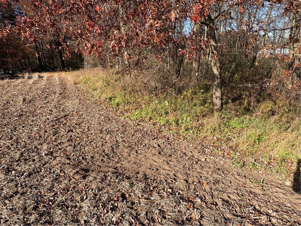 0 N Sand Lane Fairchild WI 54758 1596839 image16