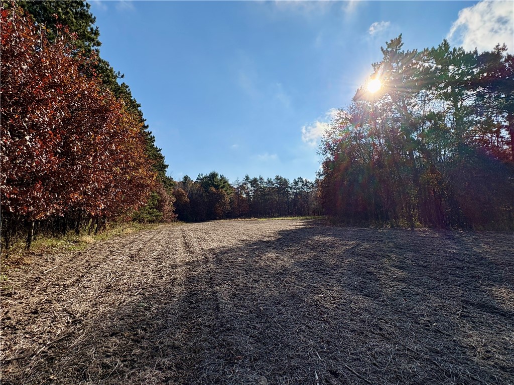 0 N Sand Lane Fairchild WI 54758 1596839 image17