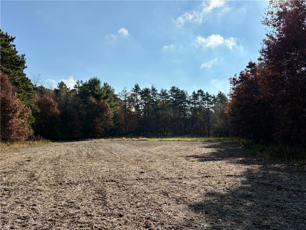 0 N Sand Lane Fairchild WI 54758 1596839 image18