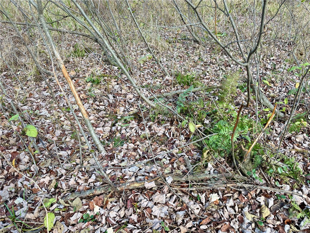 0 N Sand Lane Fairchild WI 54758 1596839 image19