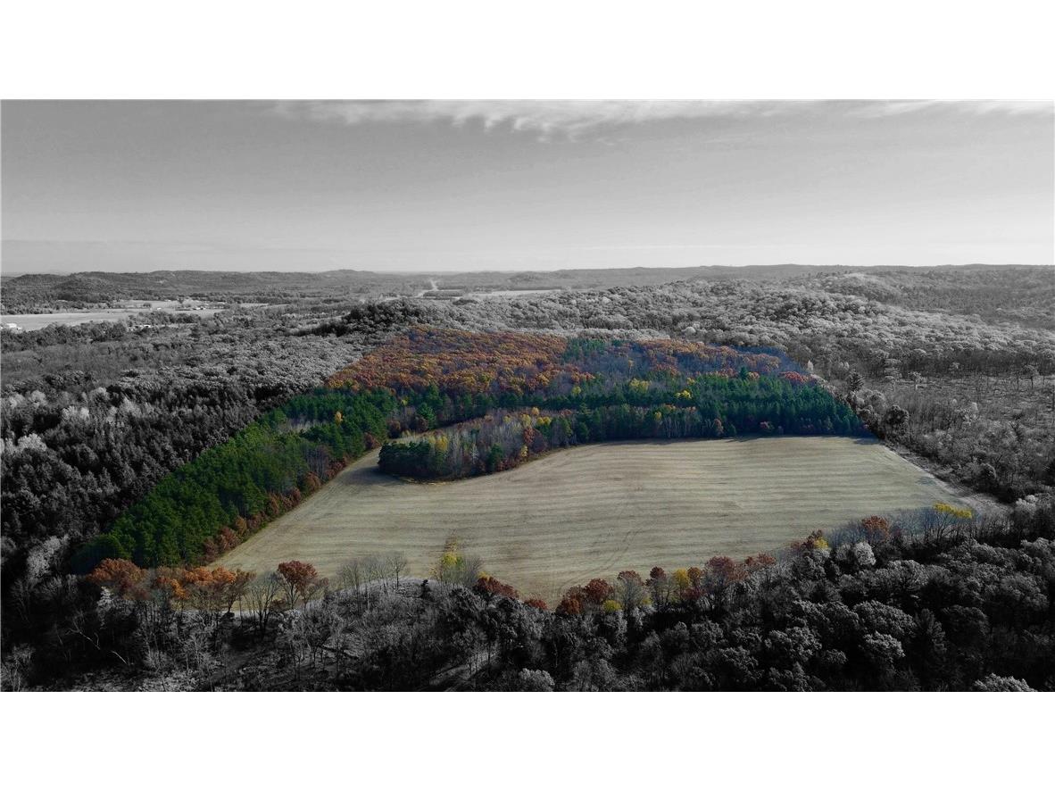 0 N Sand Lane Fairchild WI 54758 1596839 image2