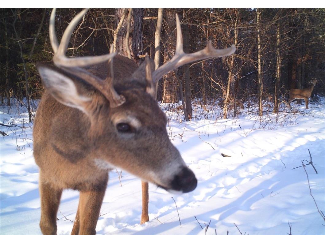 0 N Sand Lane Fairchild WI 54758 1596839 image20