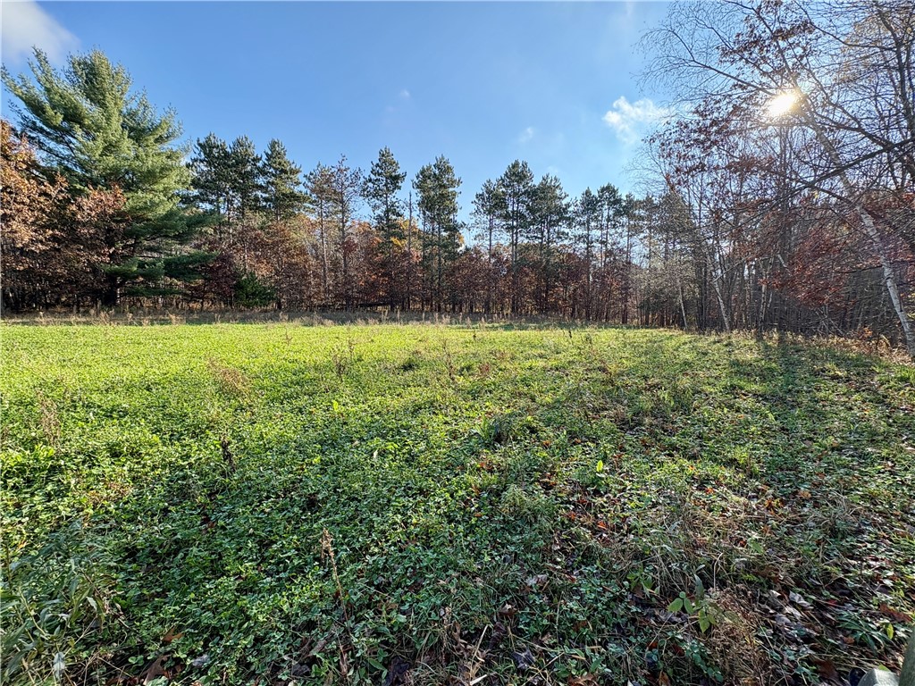 0 N Sand Lane Fairchild WI 54758 1596839 image22