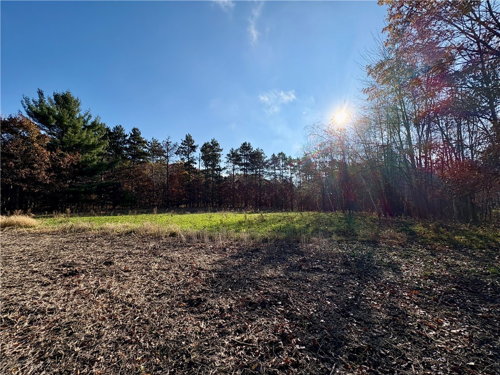 0 N Sand Lane Fairchild WI 54758 1596839 image23