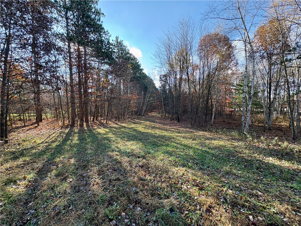 0 N Sand Lane Fairchild WI 54758 1596839 image24