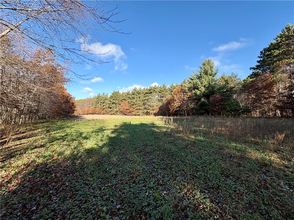 0 N Sand Lane Fairchild WI 54758 1596839 image25