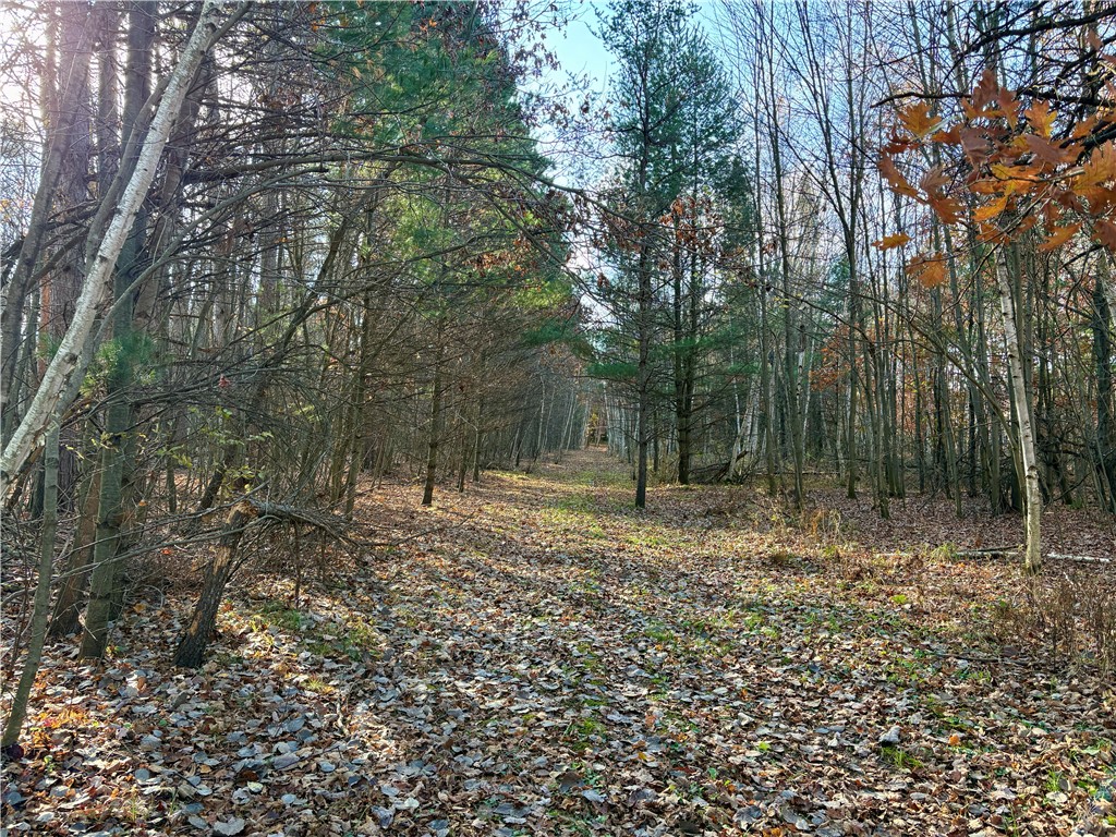 0 N Sand Lane Fairchild WI 54758 1596839 image26