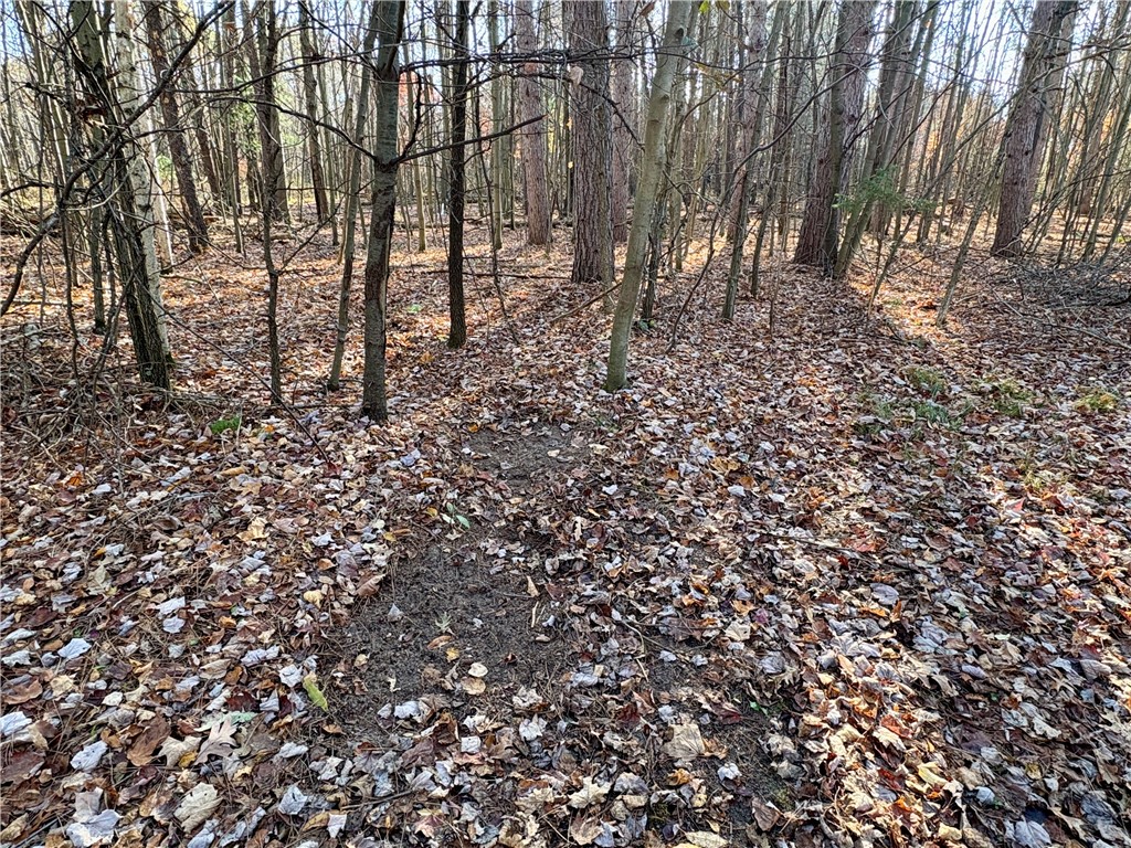 0 N Sand Lane Fairchild WI 54758 1596839 image27