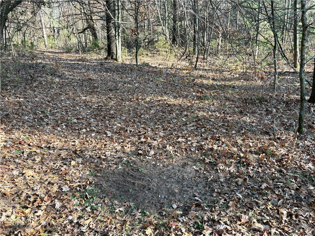 0 N Sand Lane Fairchild WI 54758 1596839 image28