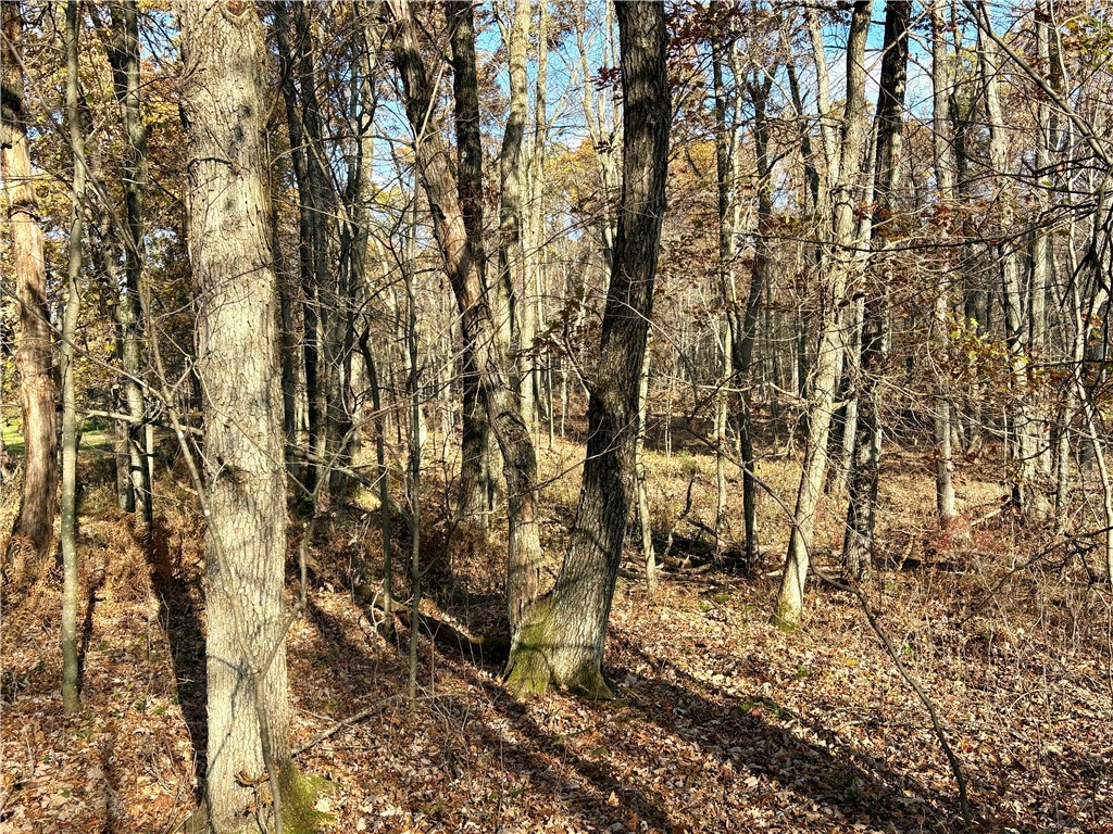 0 N Sand Lane Fairchild WI 54758 1596839 image29