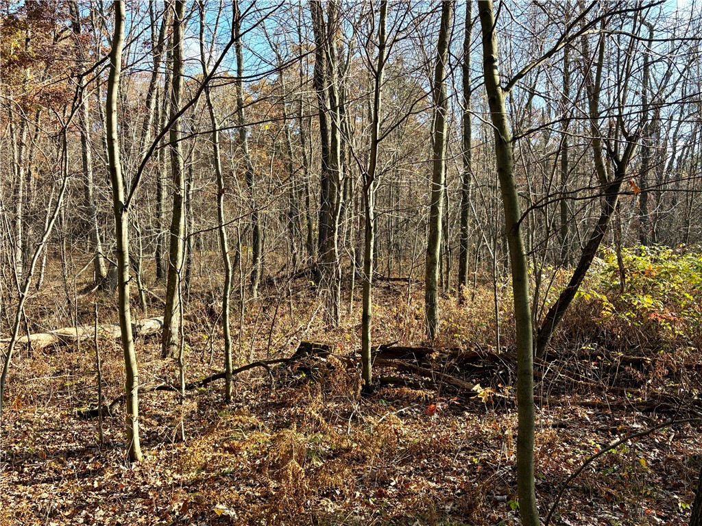 0 N Sand Lane Fairchild WI 54758 1596839 image30