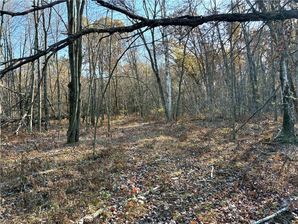 0 N Sand Lane Fairchild WI 54758 1596839 image31