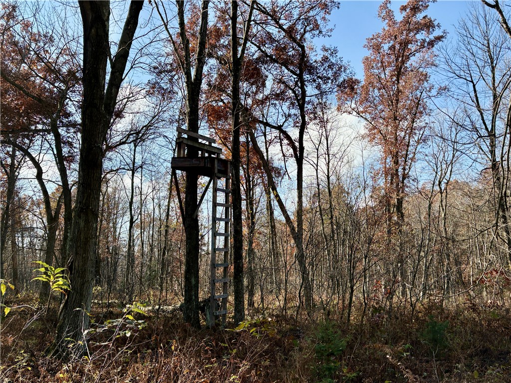 0 N Sand Lane Fairchild WI 54758 1596839 image33