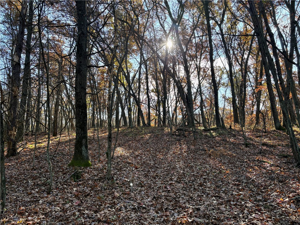 0 N Sand Lane Fairchild WI 54758 1596839 image34