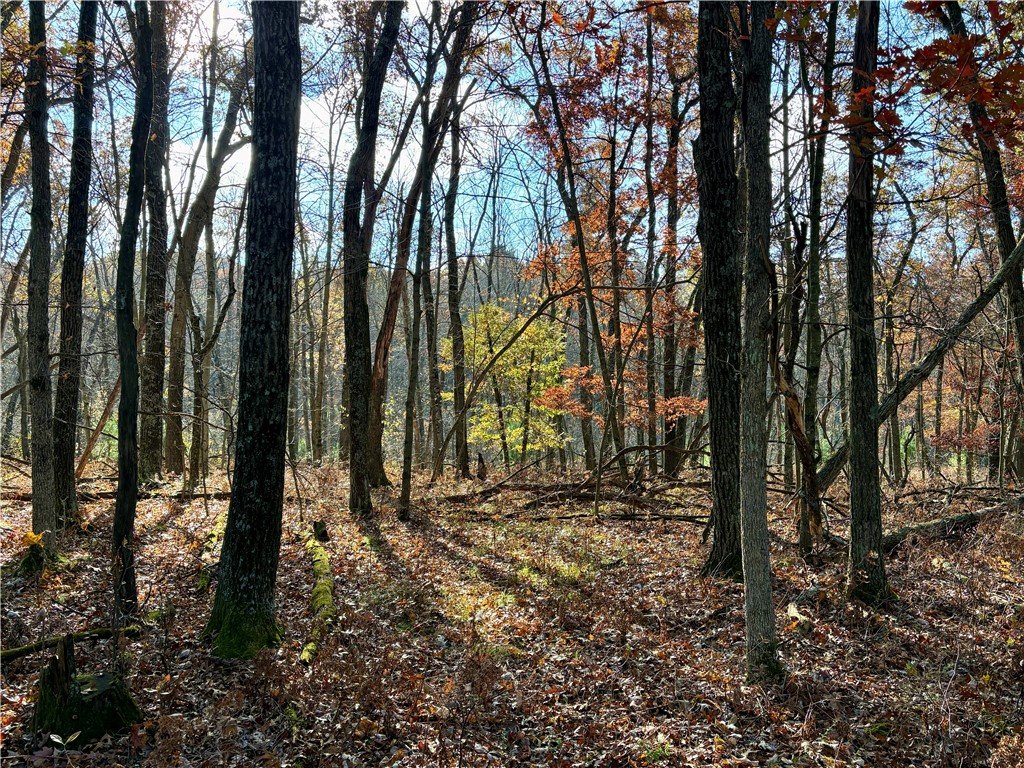 0 N Sand Lane Fairchild WI 54758 1596839 image35