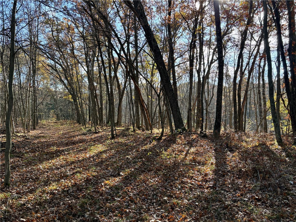 0 N Sand Lane Fairchild WI 54758 1596839 image36