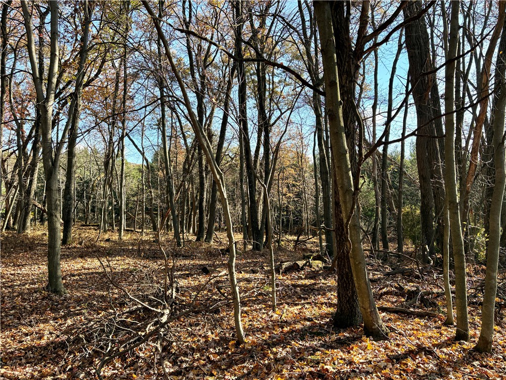 0 N Sand Lane Fairchild WI 54758 1596839 image37