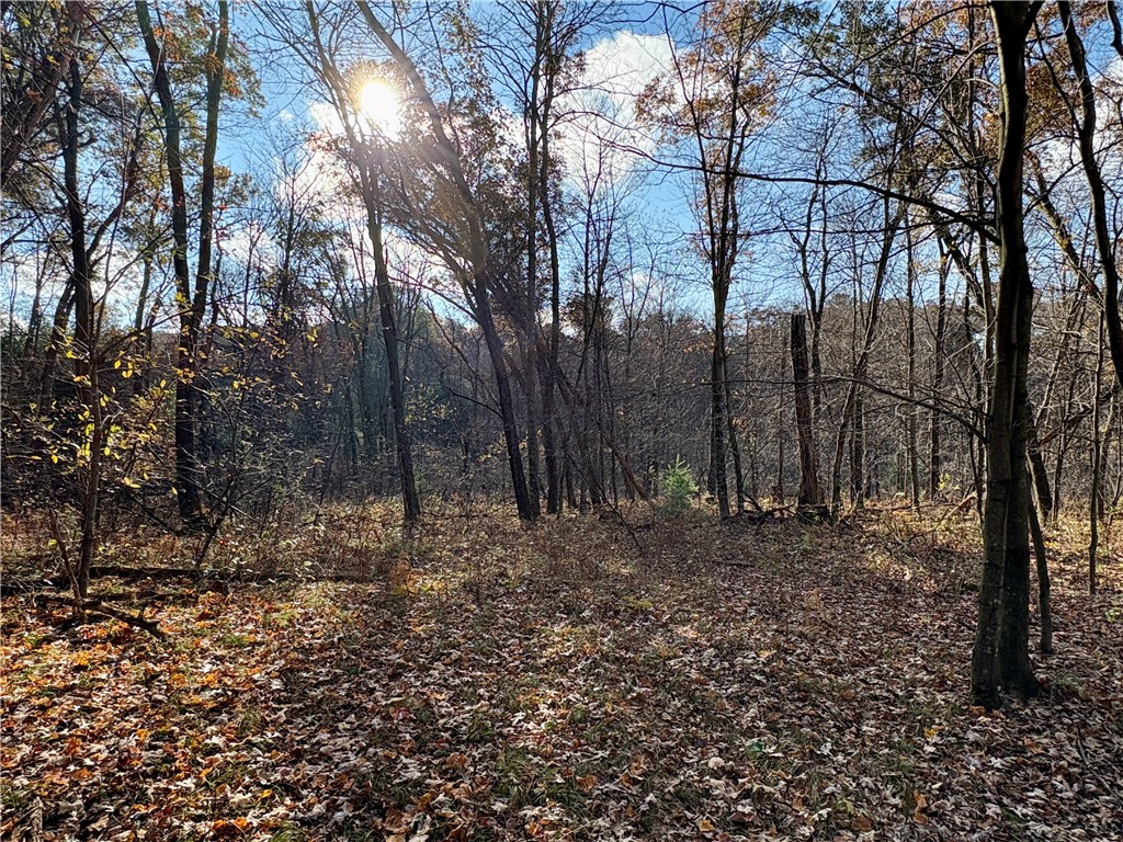 0 N Sand Lane Fairchild WI 54758 1596839 image38